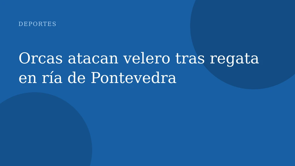 Orcas atacan velero tras regata en ría de Pontevedra